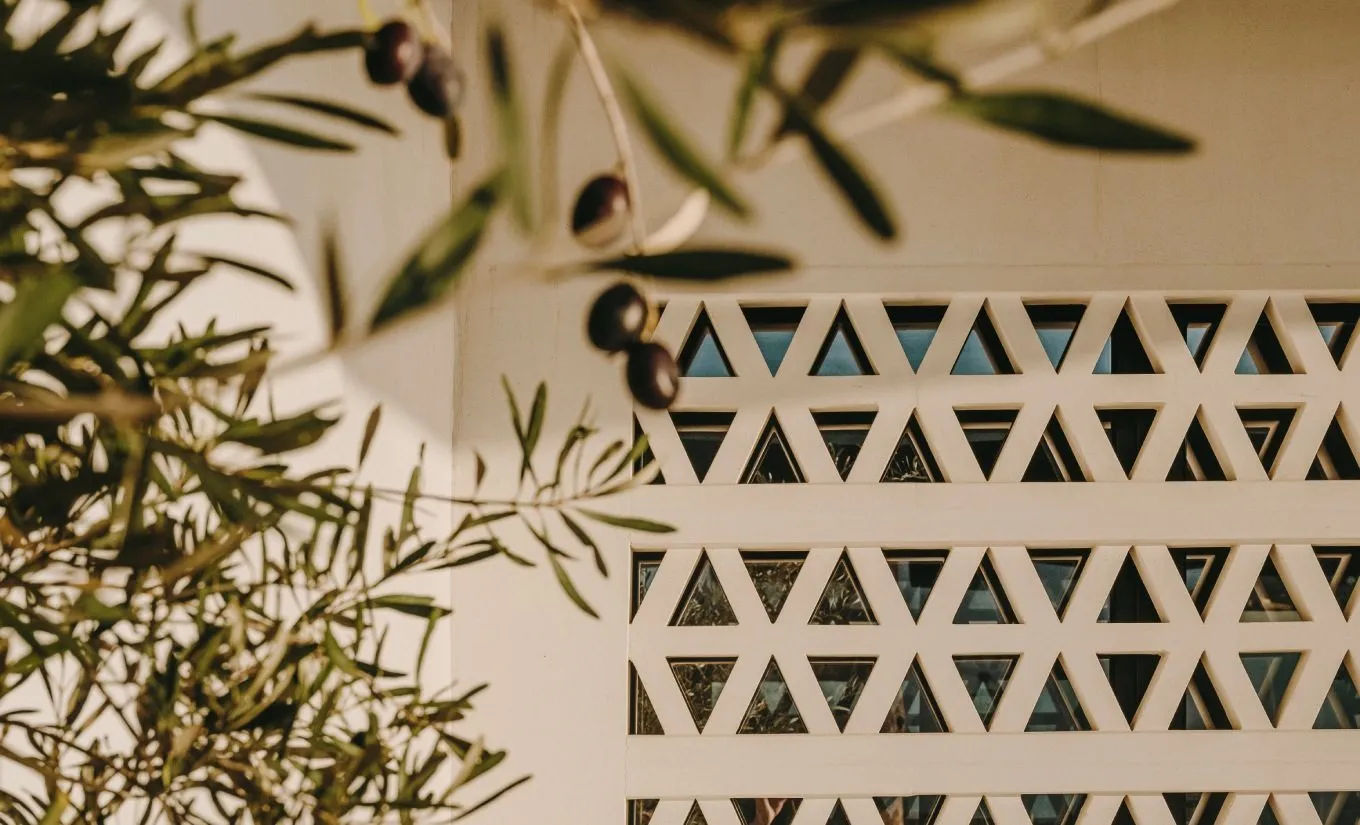 Kalesma-Mykonos--Architectural-Details-Closeups_©Salva-Lopez-8.jpg