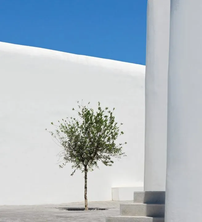 Kalesma_Mykonos_57-1.jpg